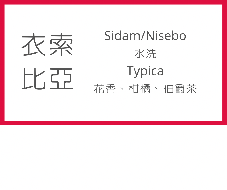 單品掛耳包（衣索比亞/水洗）