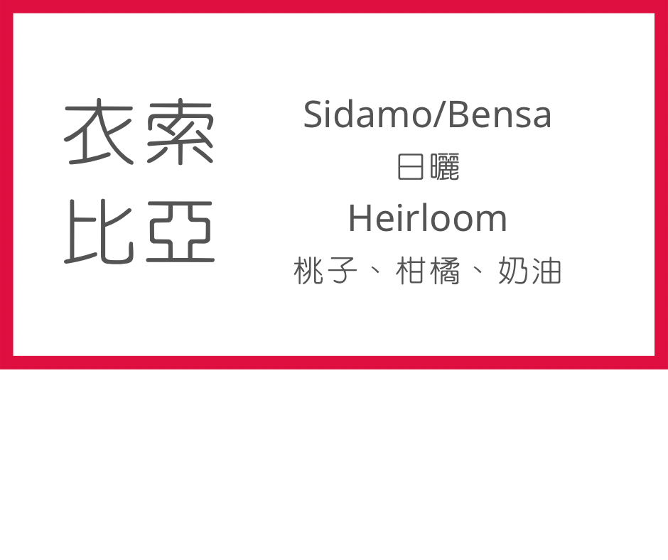 單品掛耳包（衣索比亞/日曬）