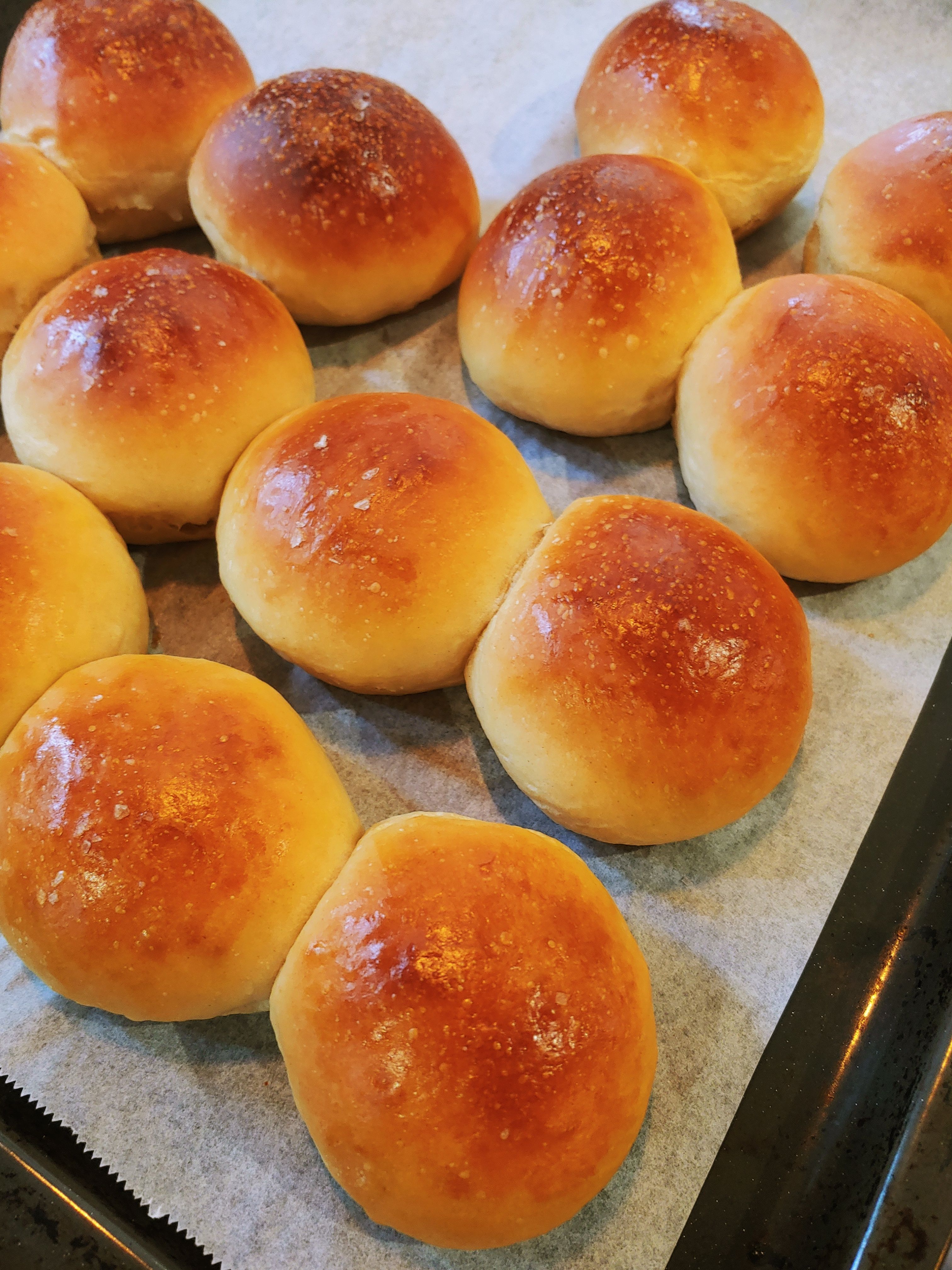 Diner Rolls 餐包， 冷凍配送