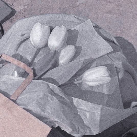 各種出物