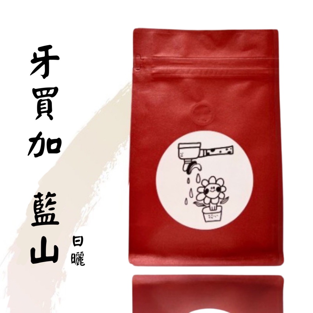 牙買加 藍山 克里福頓莊園 克里斯戴爾莊園 日曬/水洗