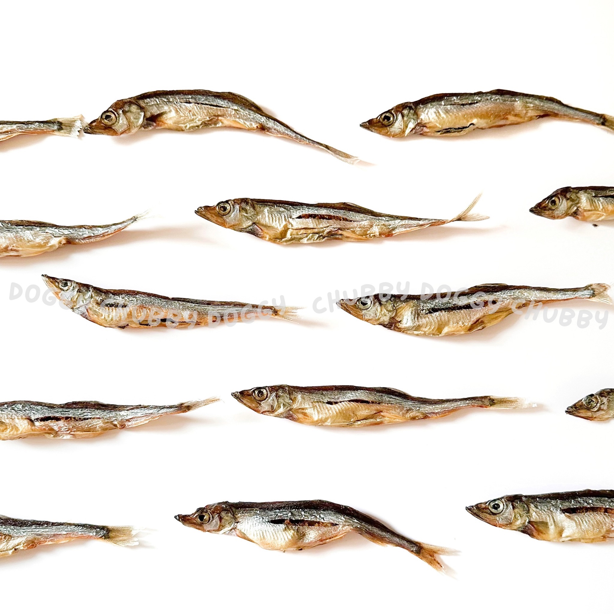 真空出貨．酥酥柳葉魚Ｉ寵物柳葉魚乾