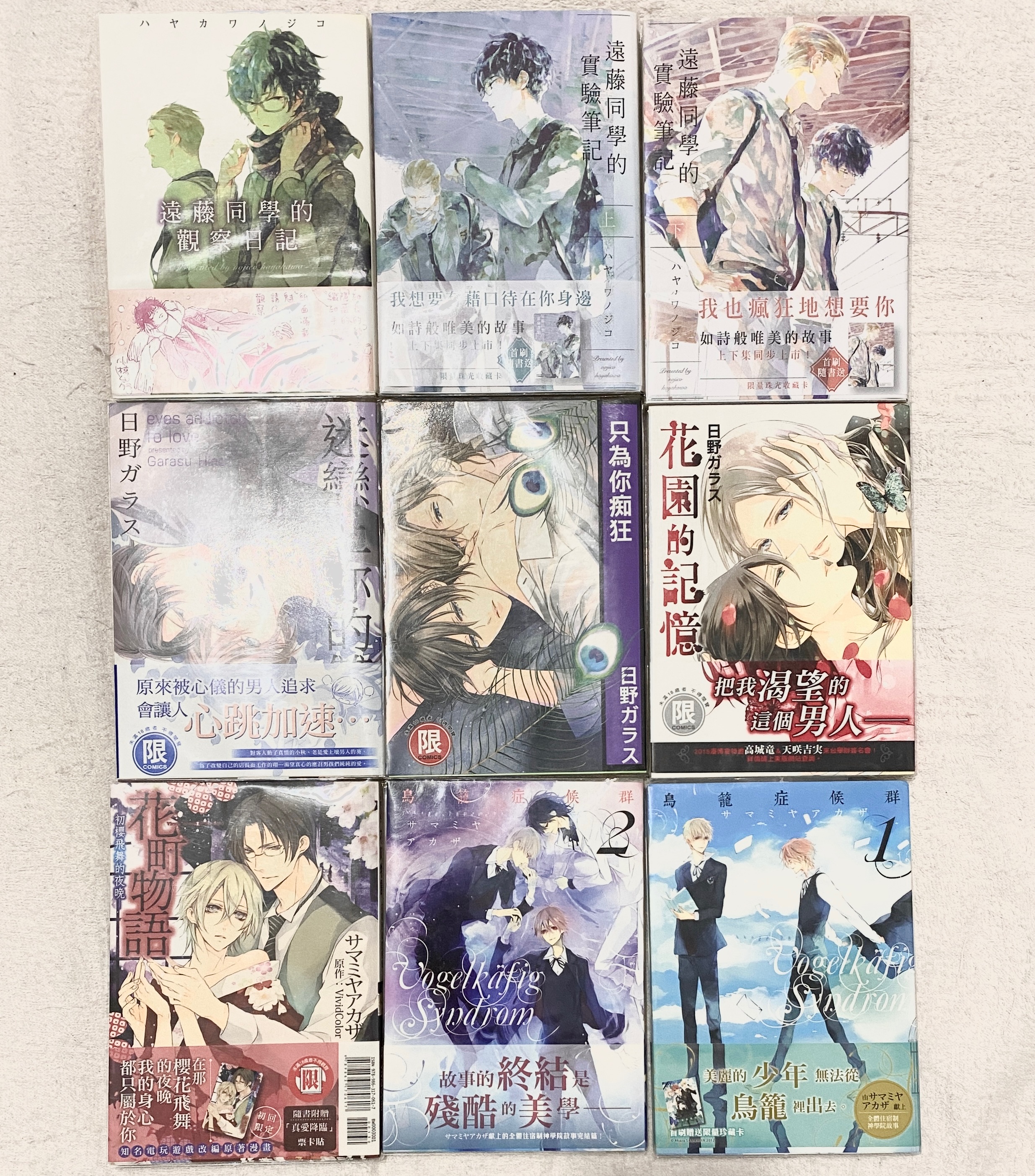 【二手】商業BL漫畫　遠藤同學系列　花町物語　鳥龍症候群