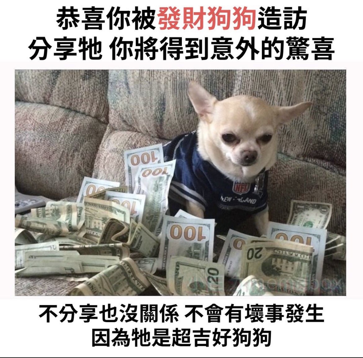 吉～咿！卡哇我也不知道買了什麼呀！