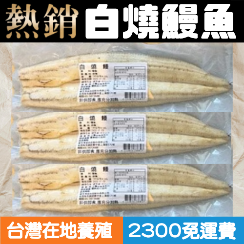頂級白燒鰻《鰻魚界賓士》