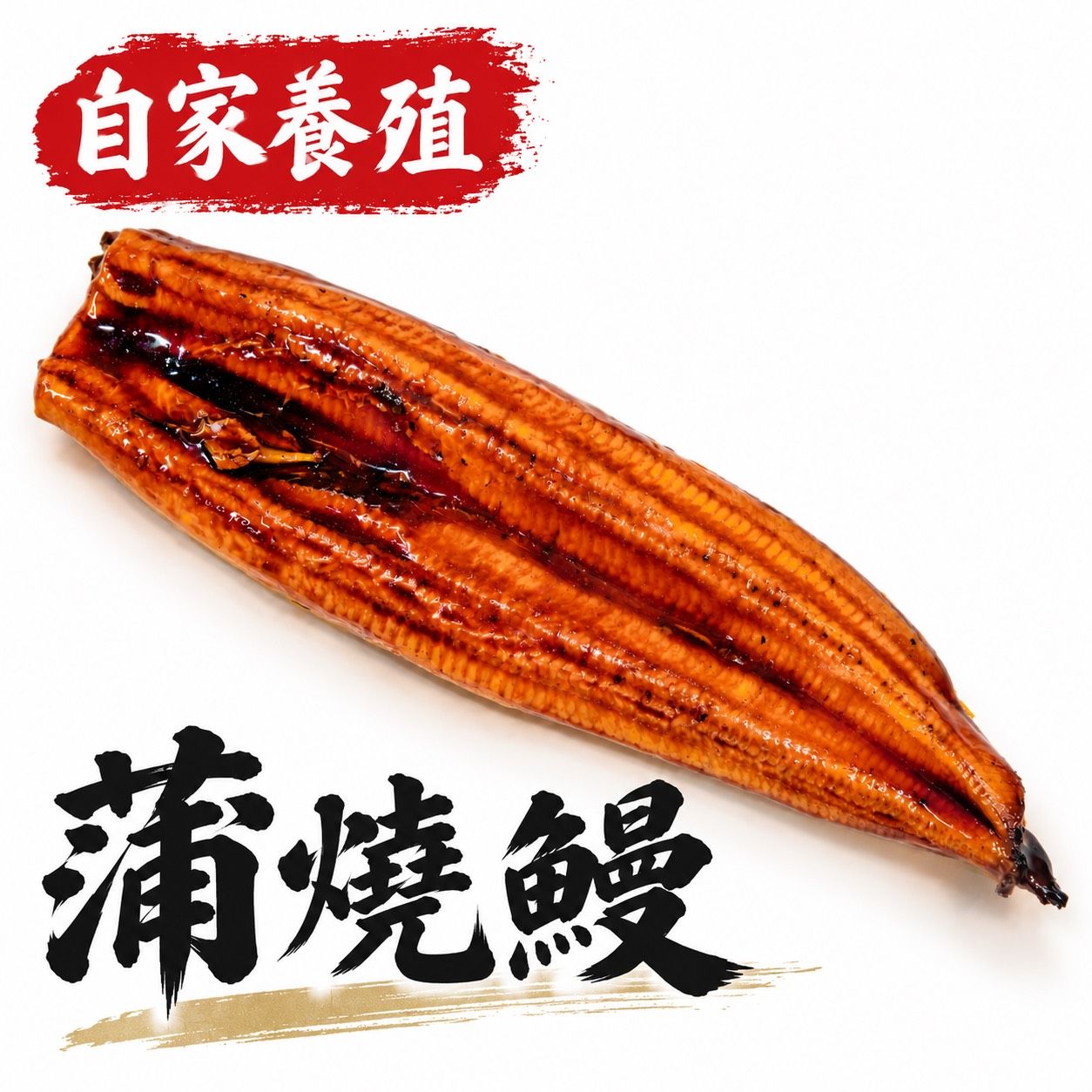 嚴選蒲燒鰻《外銷日本級》