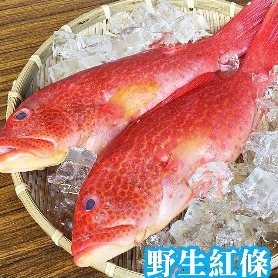 野生大紅條魚 三去350-400g 年菜必備