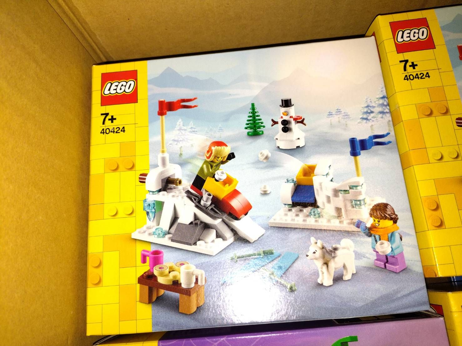 LEGO 40424 新品未拆封
