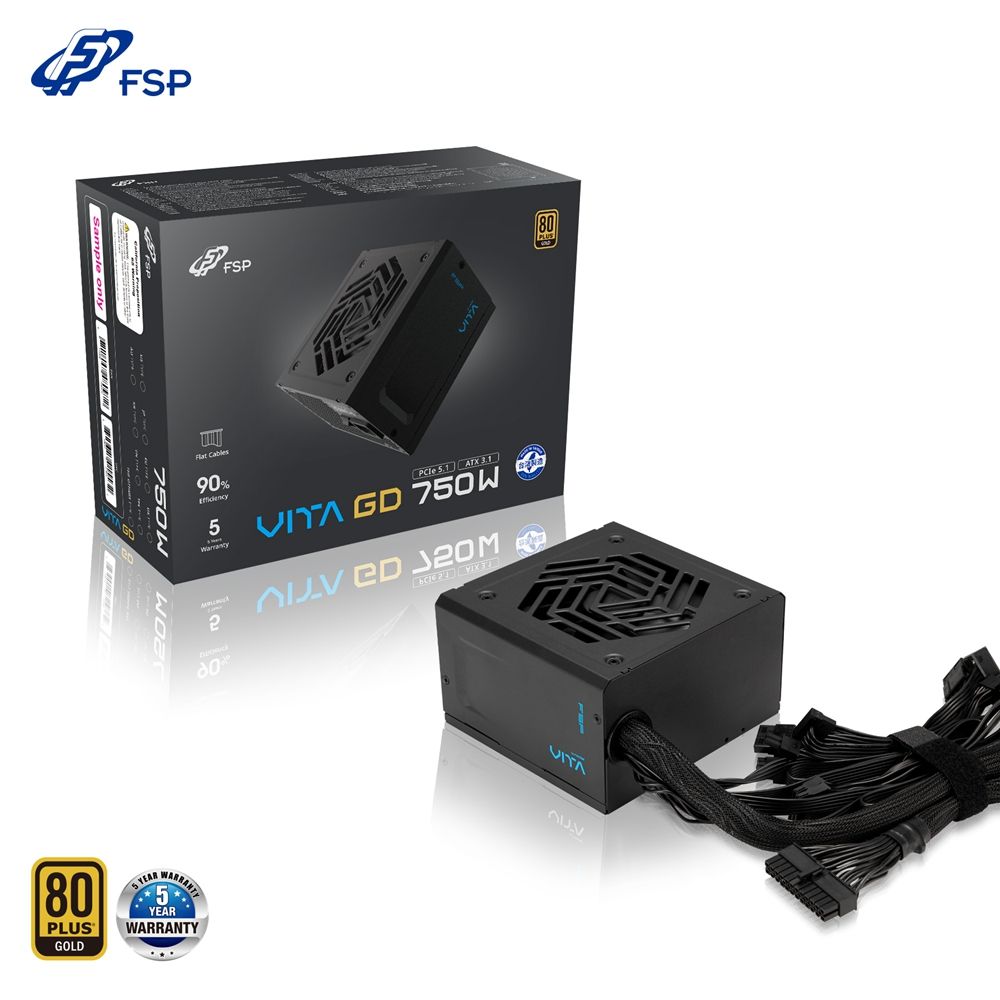 FSP全漢 VITA GD 750W 850W MIT台灣製造 ATX3.1 金牌/直出線/電源供應器