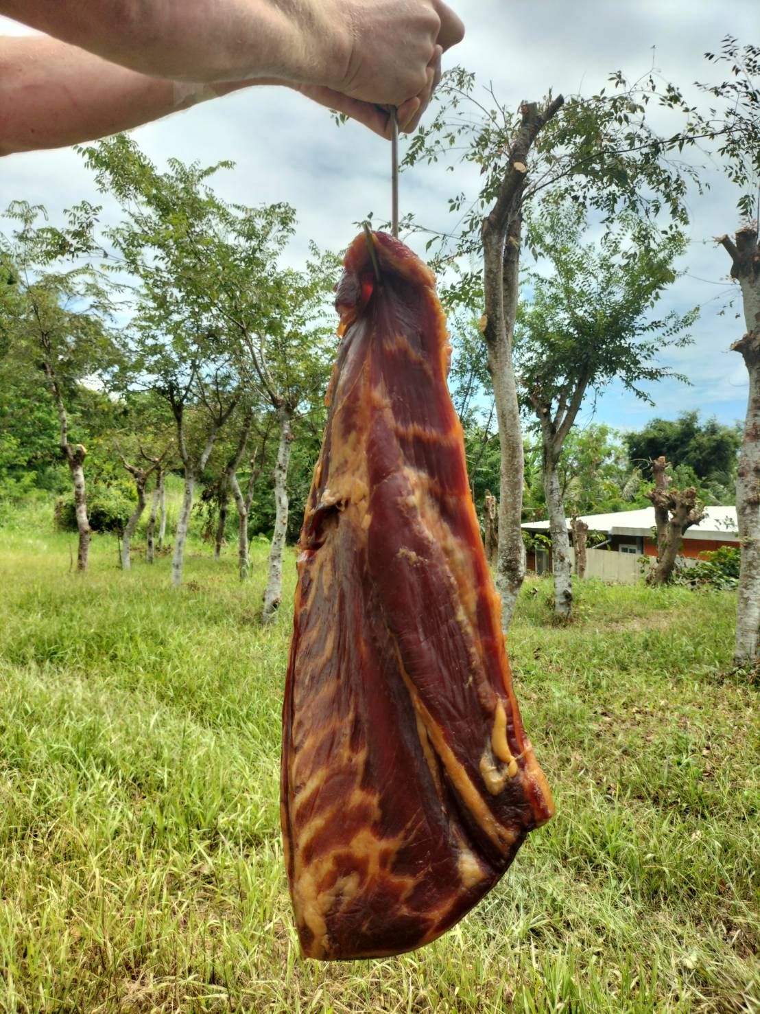 Z的龍眼木冷煙燻培根Bancon