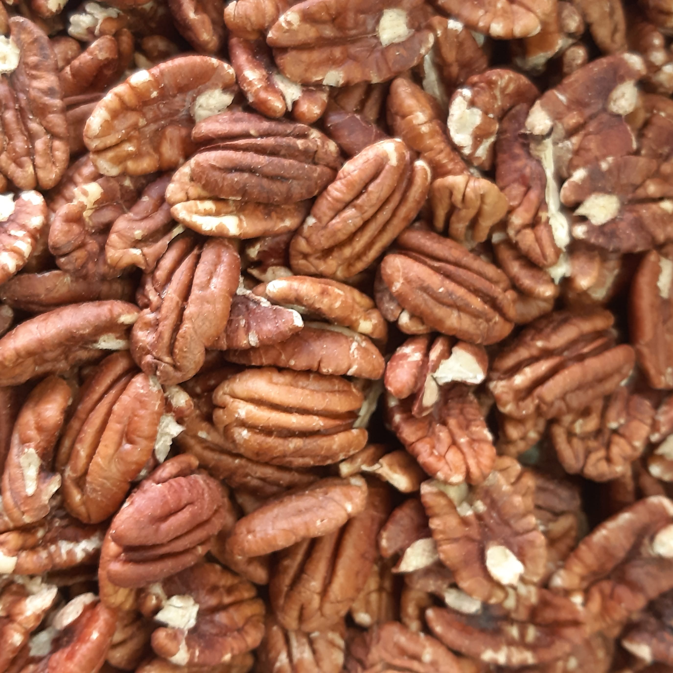 胡桃 大包 250g 低溫烘焙 原味