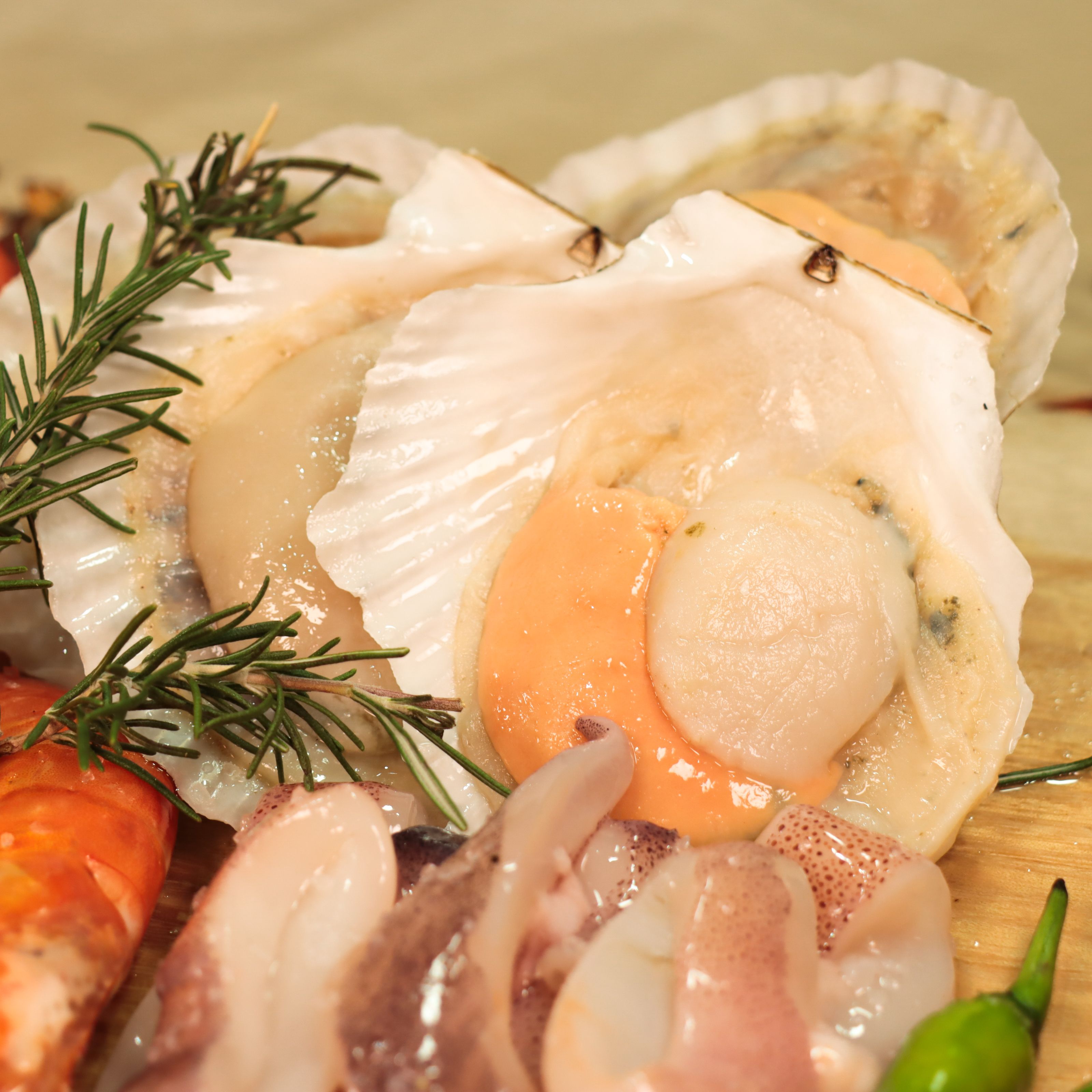 【烹飪食材 頂級扇貝】