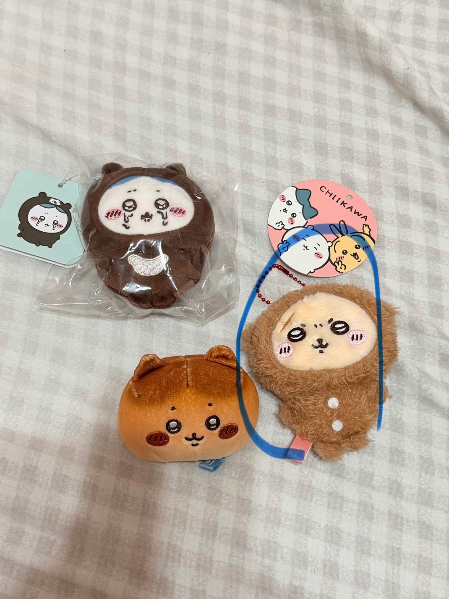 毛茸茸師傅