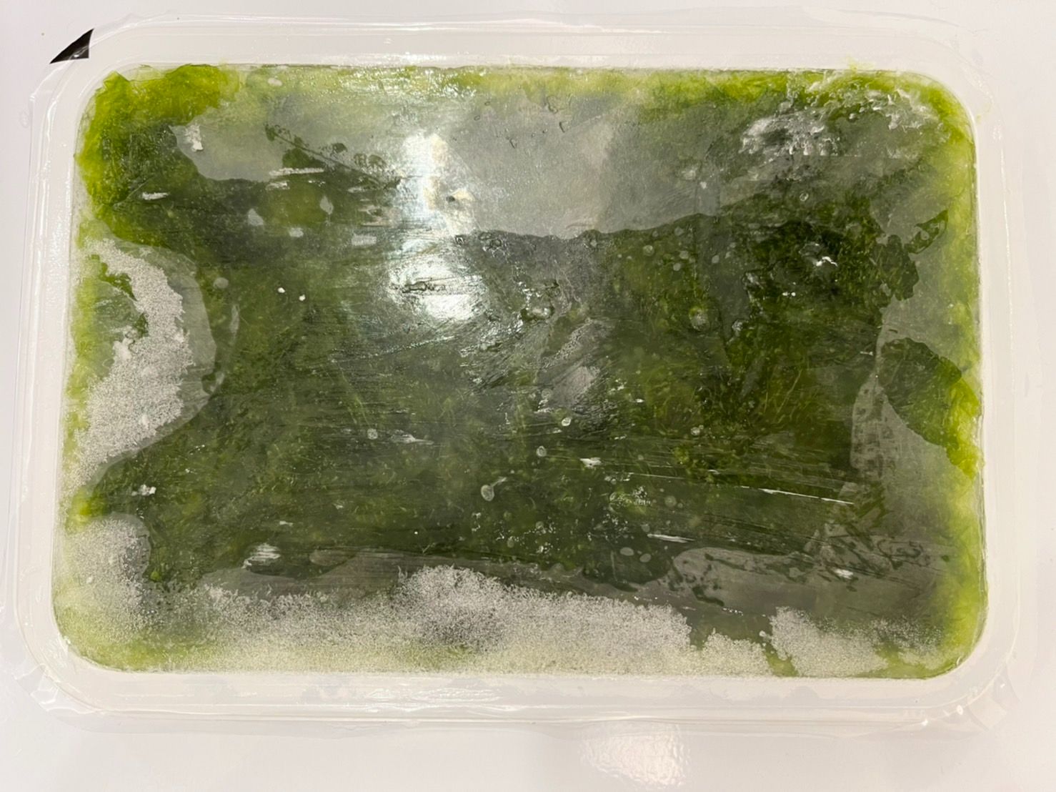 澎湖野生海菜