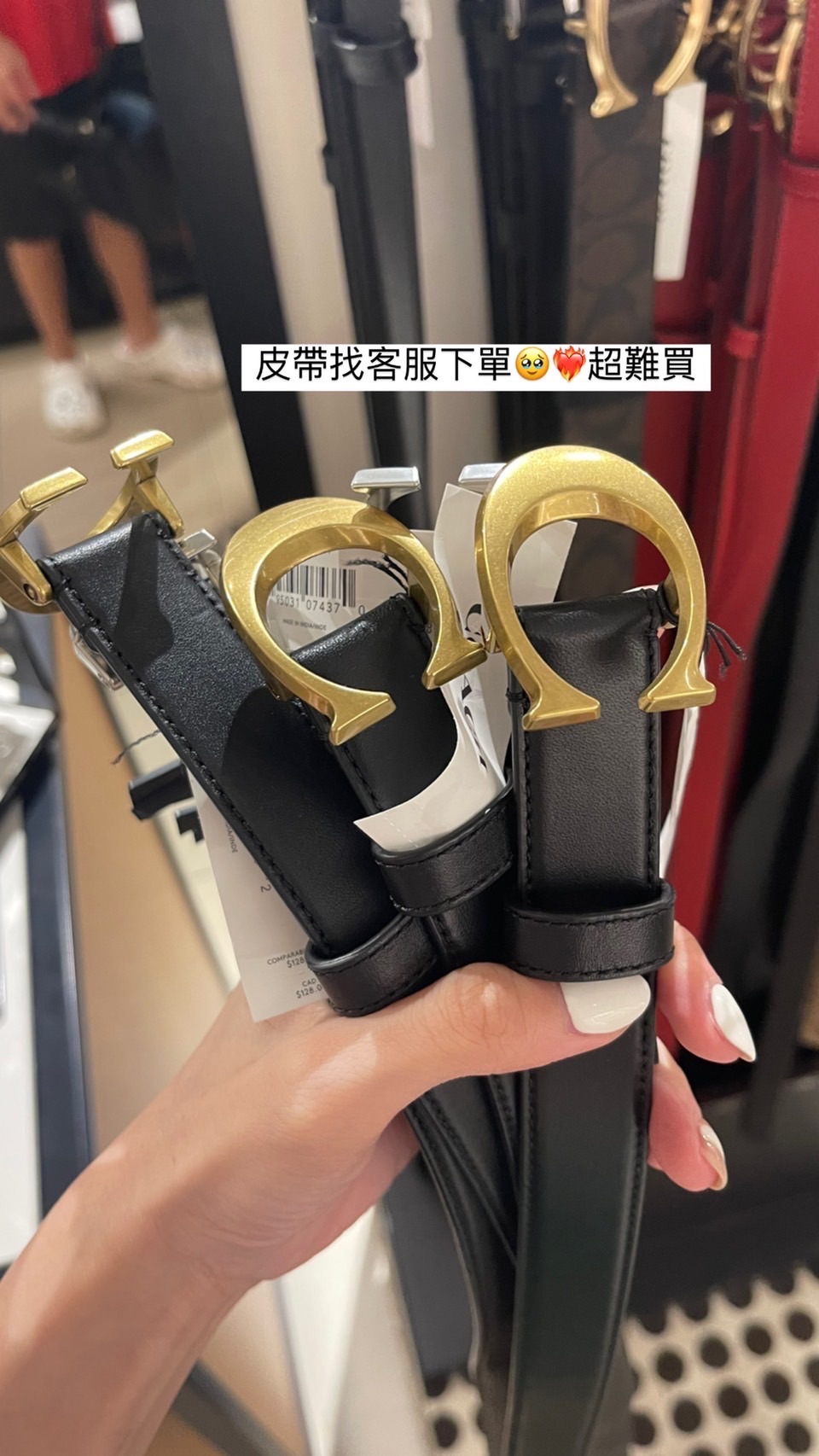 🔥Coach 皮帶 大款/中款