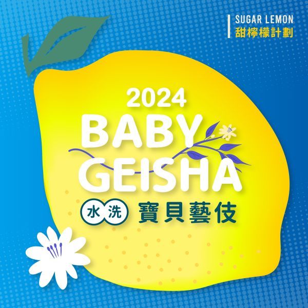衣索比亞/果美村/寶貝藝妓/水洗處理法  最新到貨／淺烘焙
