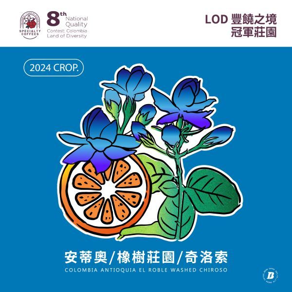 哥倫比亞/安蒂奧/橡樹莊園/8th LOD 冠軍莊園  最新到貨／淺中烘焙