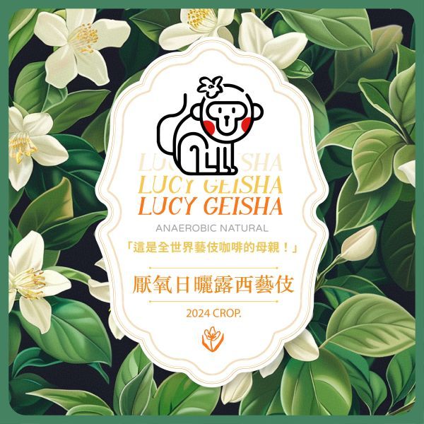 衣索比亞/班奇馬吉/露西處理站/厭氧日曬處理法 最新到貨／淺烘焙