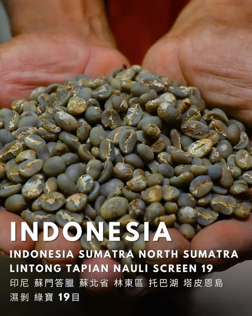 印尼/蘇門答臘/蘇北省/林東區/托巴湖/塔皮恩島 最新到貨／中烘焙