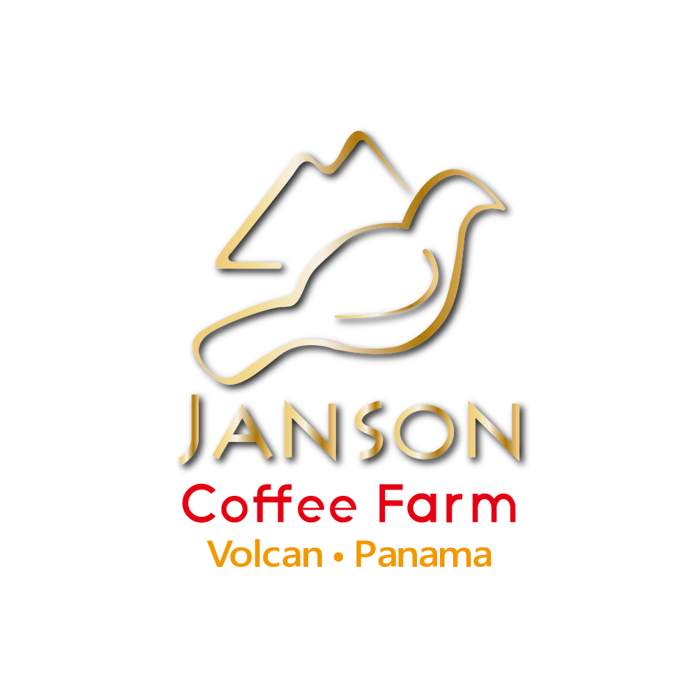 巴拿馬/巴魯火山/詹森莊園/藝妓/水洗處理法 最新到貨/淺烘焙