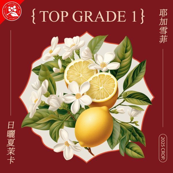 紅圈計畫/衣索比亞/耶加雪菲/夏末卡處理站/日曬 最新到貨/淺烘焙