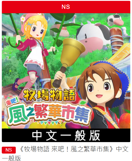 NS遊戲片