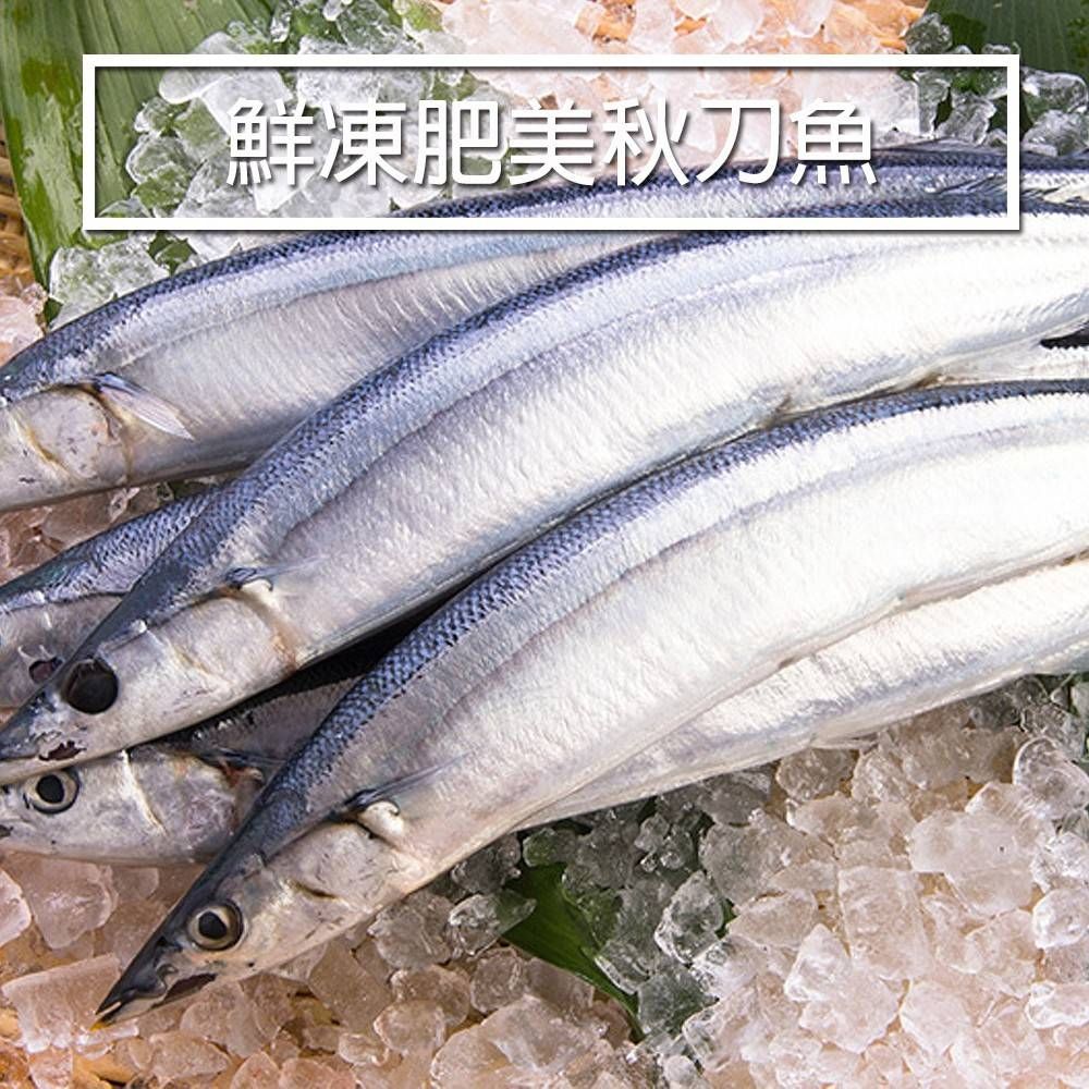 鮮凍肥美秋刀魚2號規格-3入裝，每隻100g±10%，鮮美甘甜，飽滿肉質，細緻肥嫩，香煎、鹽烤香味撲鼻