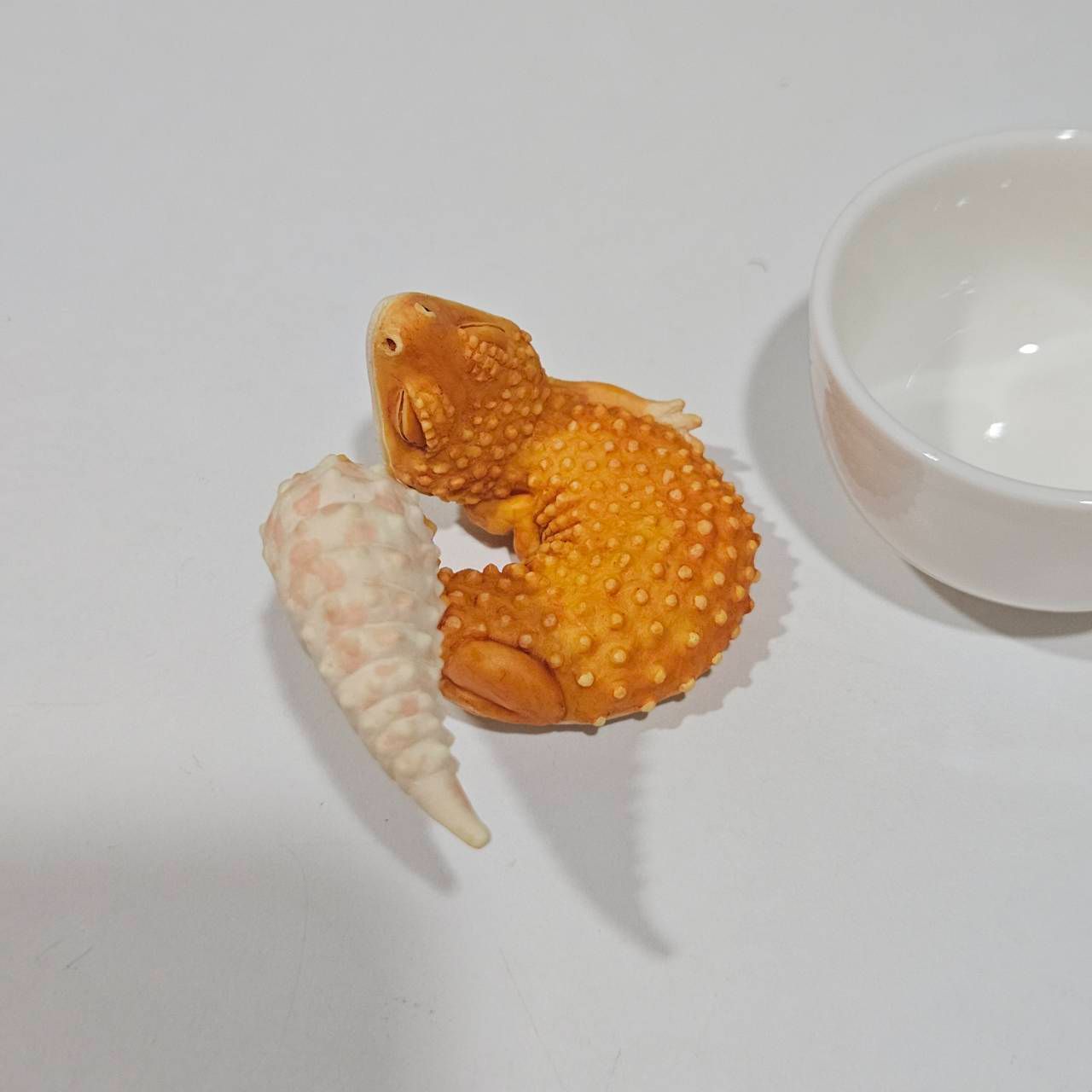 碗中守宮模型