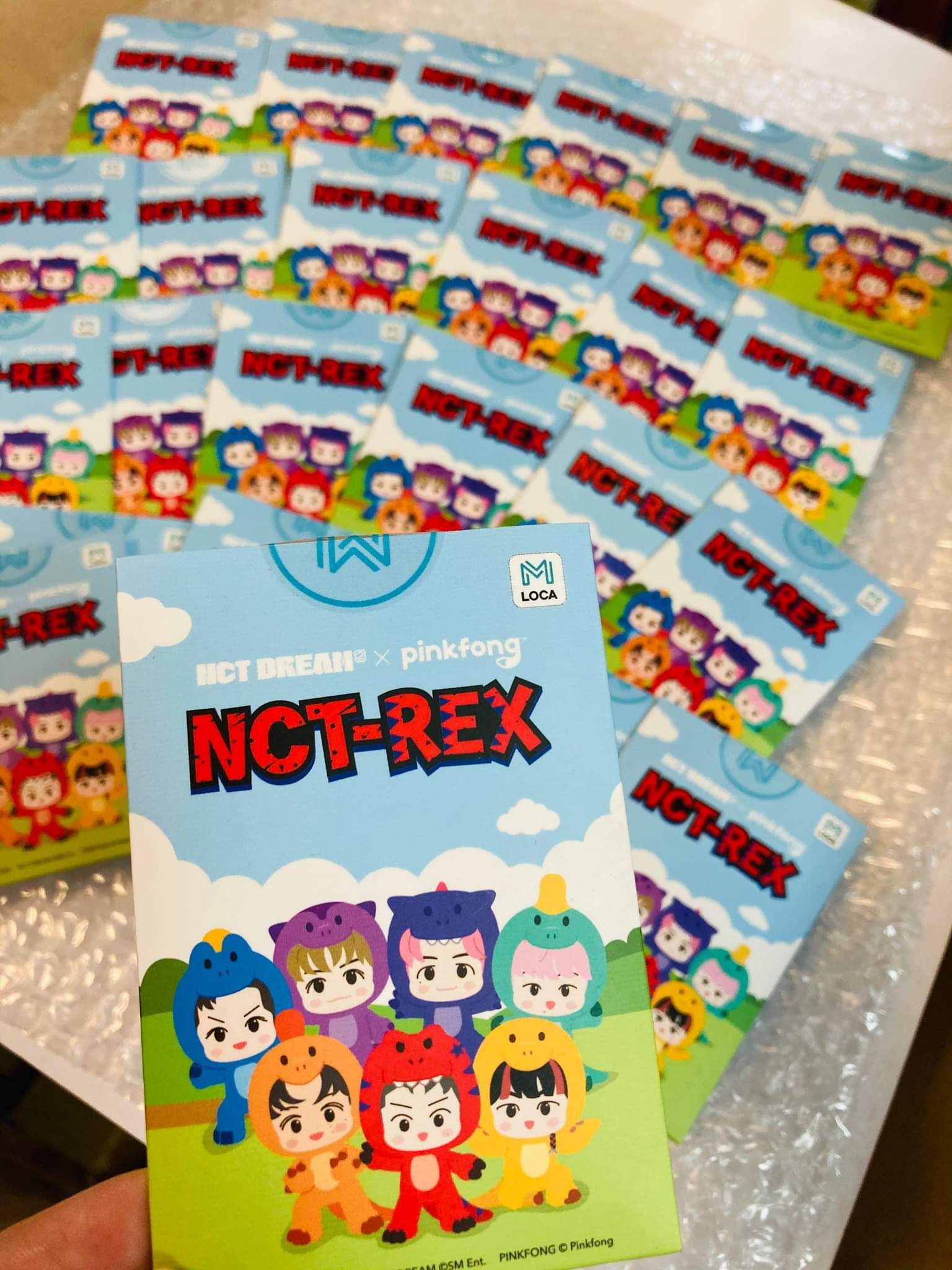 NCT-REX 韓國官方交通卡