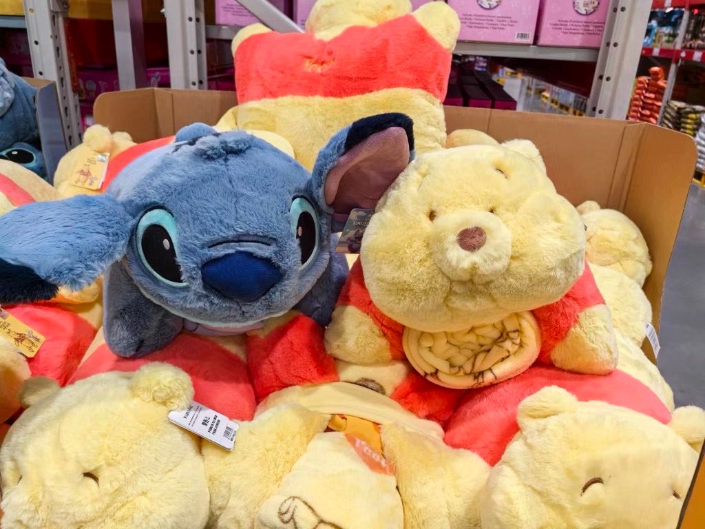 迪士尼正版授權三合一抱枕毯 預購