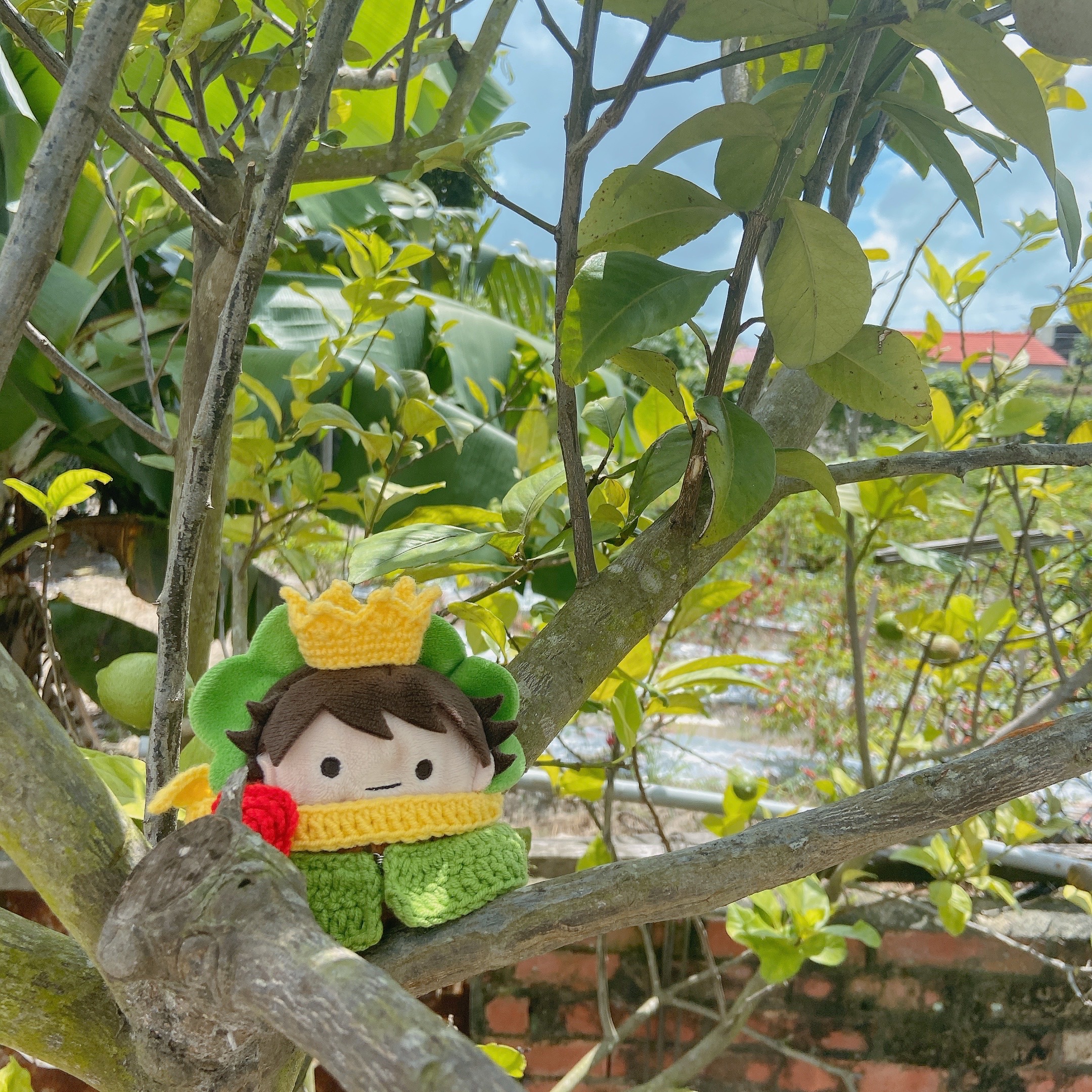 小王子套裝-樹徹版（售完不補）