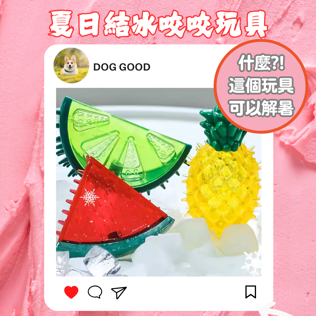 結冰消暑玩具