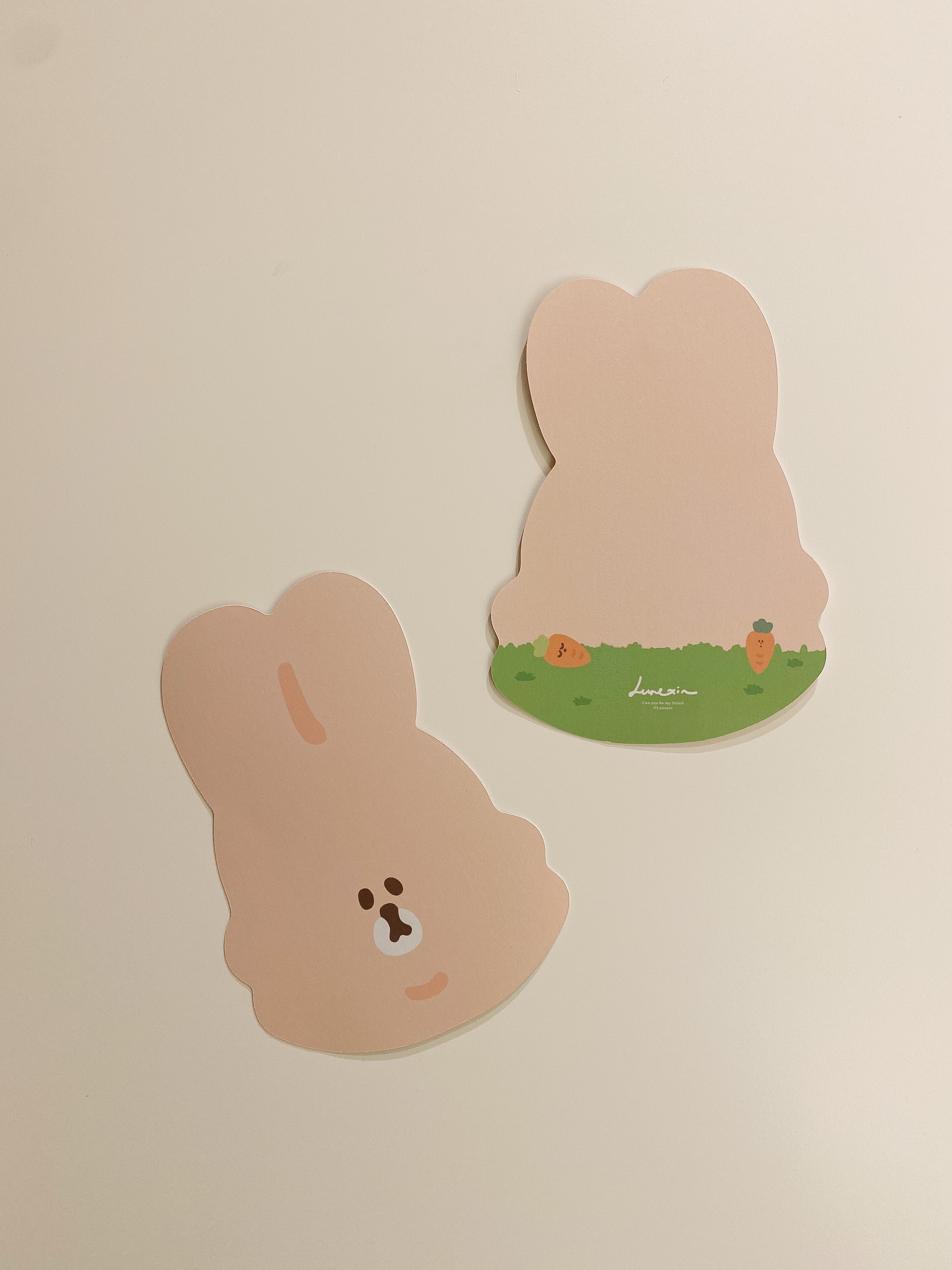 動物明信片（有兔年的）