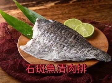台灣石斑魚排