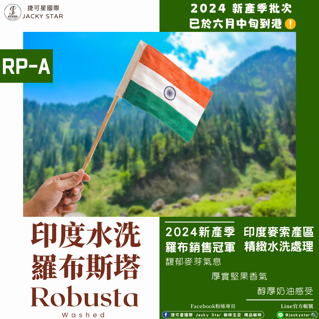 【印度水洗羅布斯塔】2024新產季批次 精緻水洗處理 印度麥索產區 馥郁麥香 香醇奶油 厚實堅果