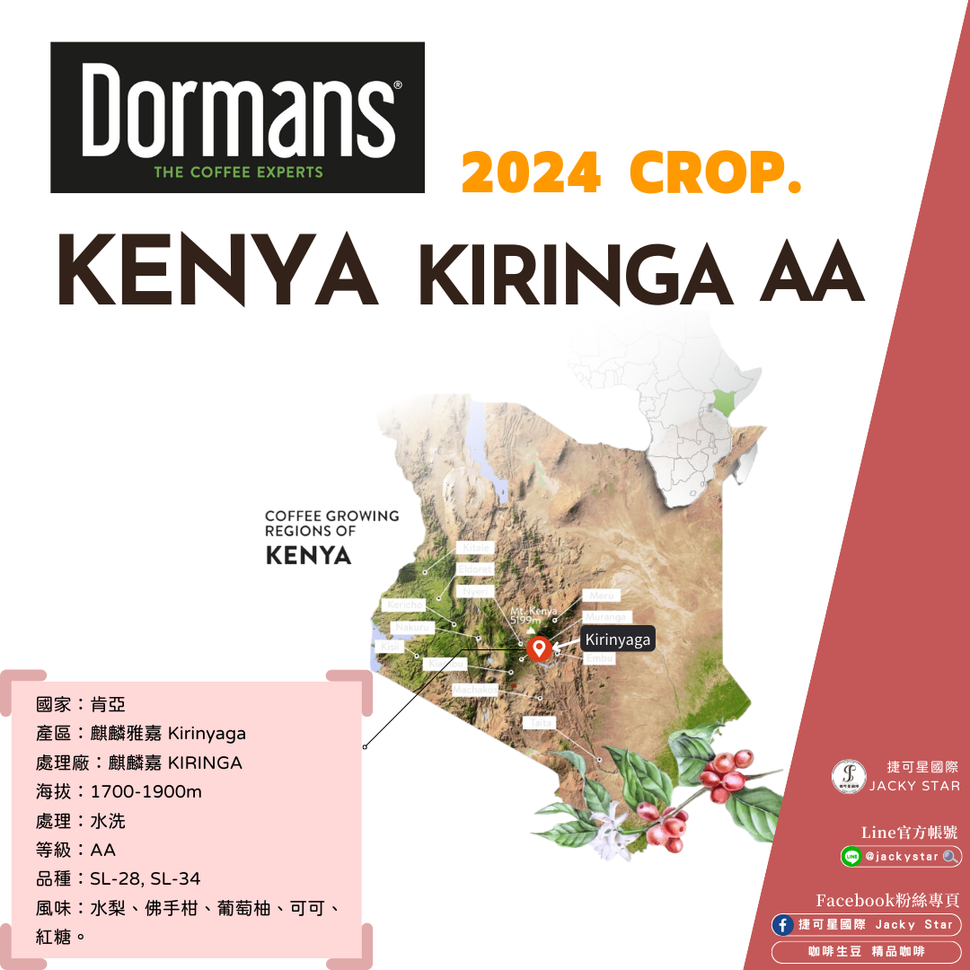 【Kenya KIRINGA AA】麒麟嘉 2024新產季批次 水洗處理 水梨、佛手柑、葡萄柚、可可、紅糖