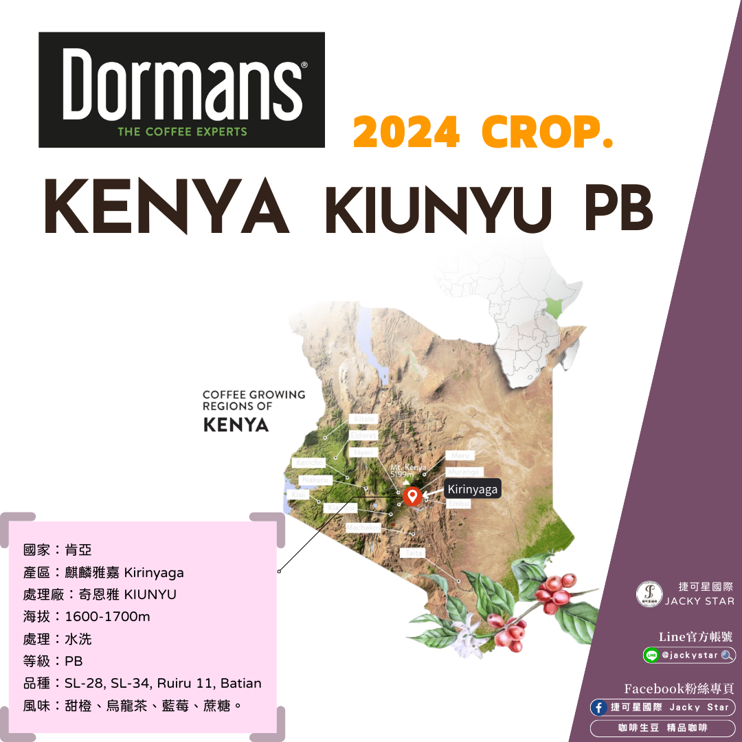 【Kenya KIUNYU PB】奇恩雅 2024新產季批次 水洗處理 甜橙、烏龍茶、藍莓、蔗糖