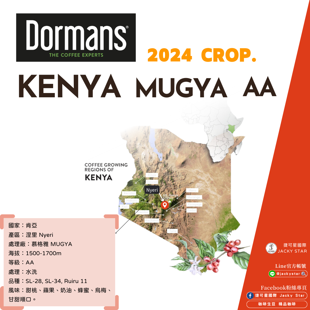 【Kenya MUGYA AA】慕格雅 2024新產季批次 水洗處理 甜桃、蘋果、奶油、蜂蜜、烏梅、甘甜順口