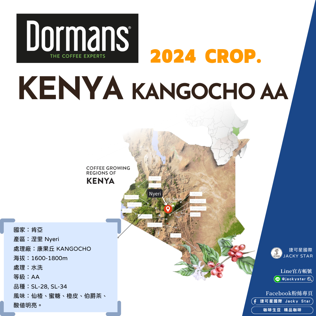 【Kenya KANGOCHO AA】康果丘 2024新產季批次 水洗處理 仙楂、蜜糖、橙皮、伯爵茶、酸值明亮