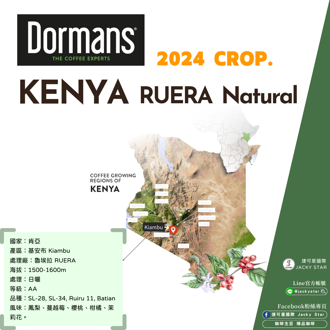 【Kenya RUERA Natural】魯埃拉 2024新產季批次 日曬處理 鳳梨、蔓越莓、櫻桃、柑橘、茉莉花