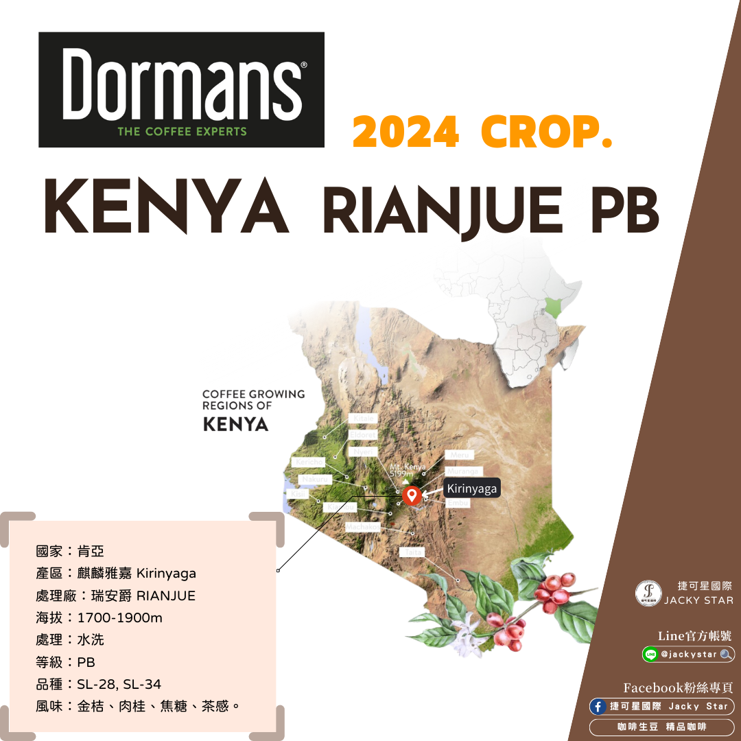 【Kenya RIANJUE PB】瑞安爵 2024新產季批次 水洗處理 金桔、肉桂、焦糖、茶感