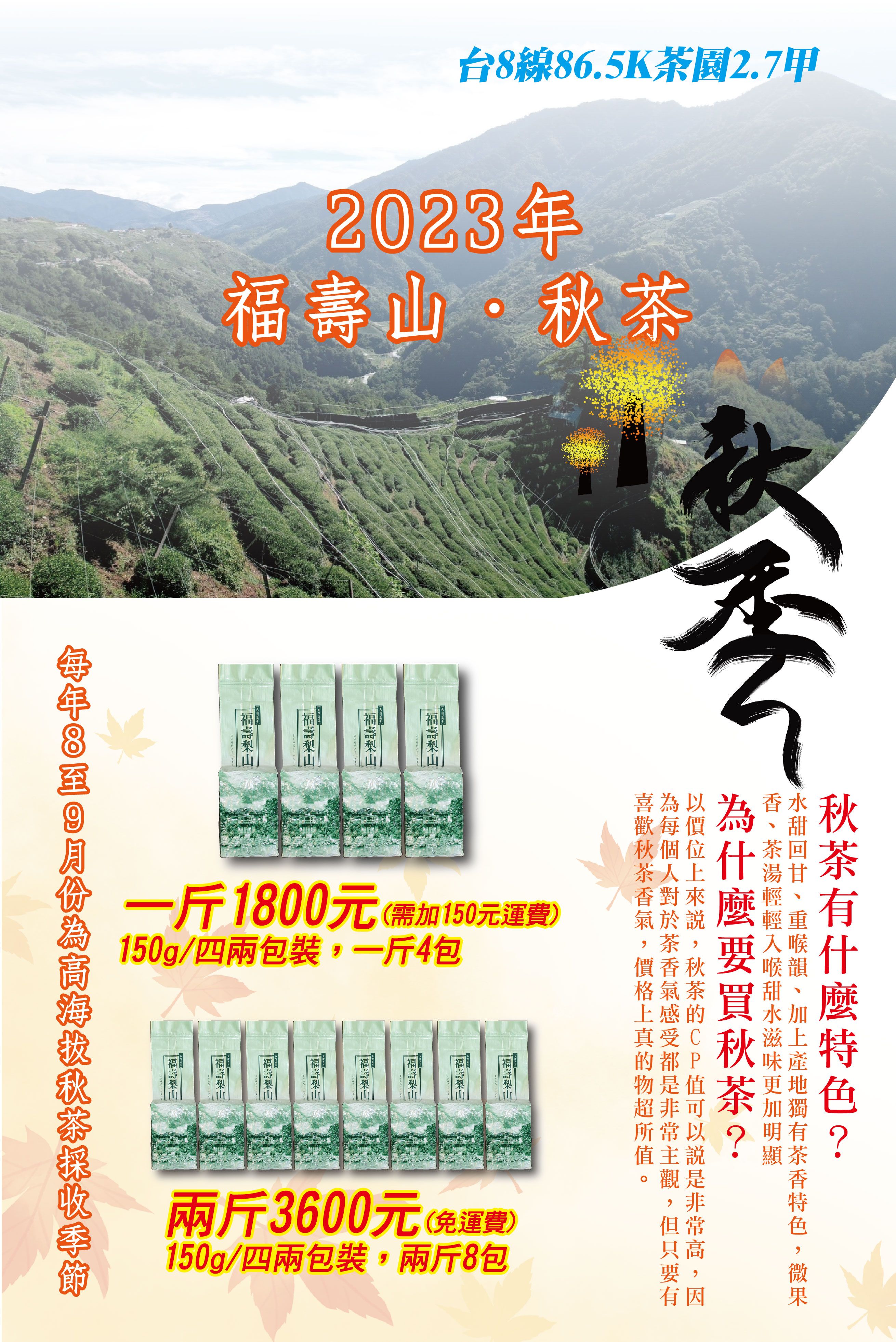 2023年福壽山秋茶