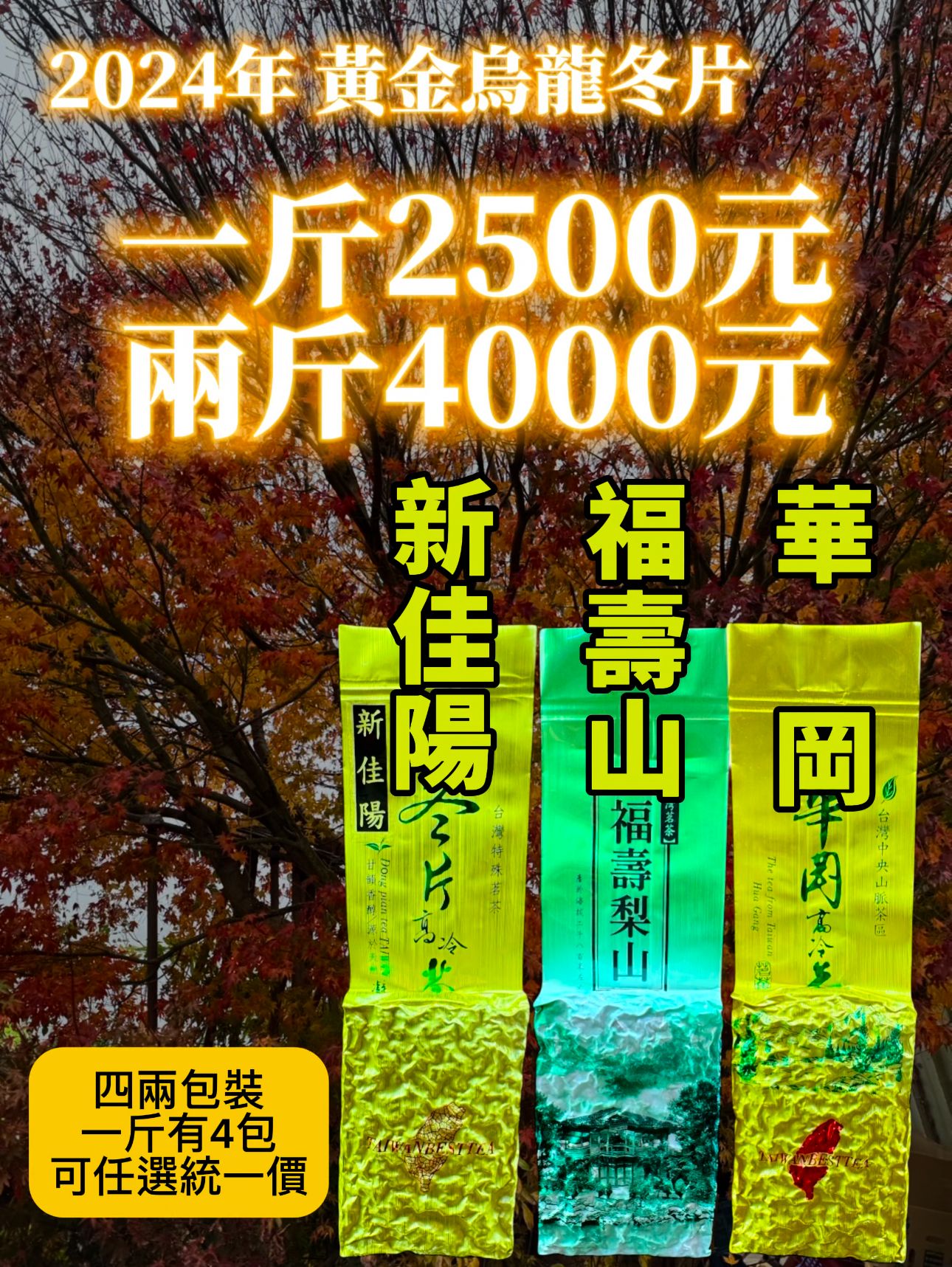 2024年黃金烏龍冬片-三款可任選混搭請備註