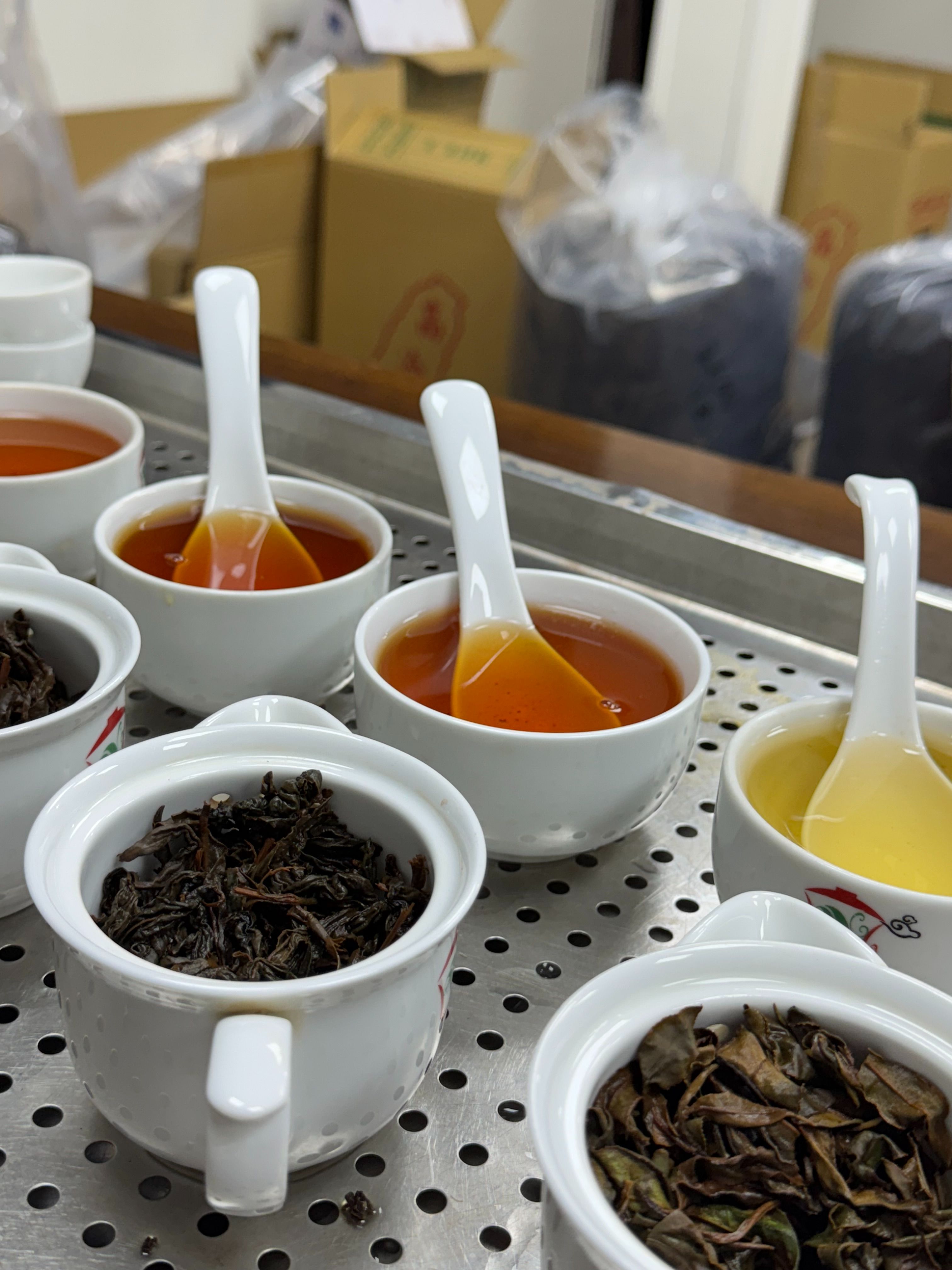［夏季獨有］紅茶．白茶大對決