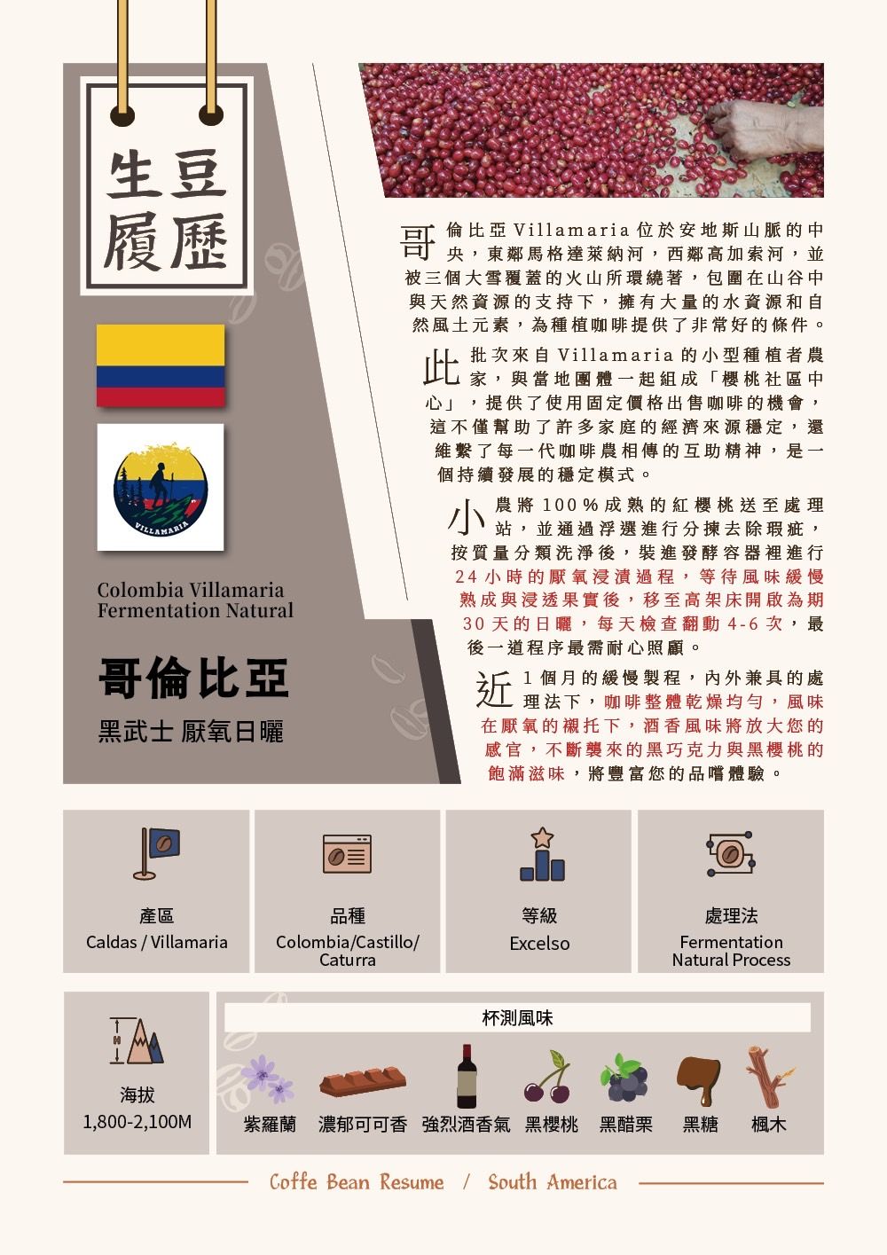 【單品熟豆】哥倫比亞 黑武士 厭氧日曬