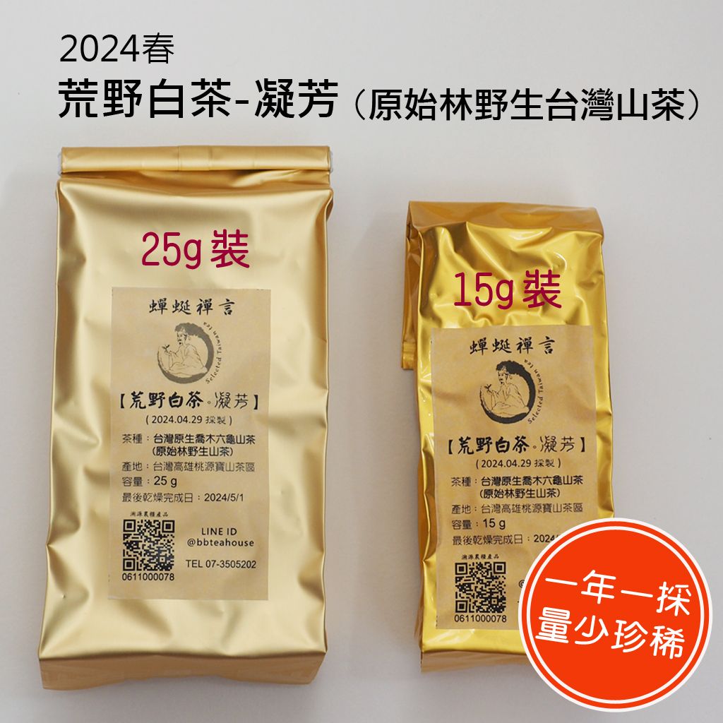 [蟬蜒禪言|野生茶 ] 荒野白茶-凝芳 2024春