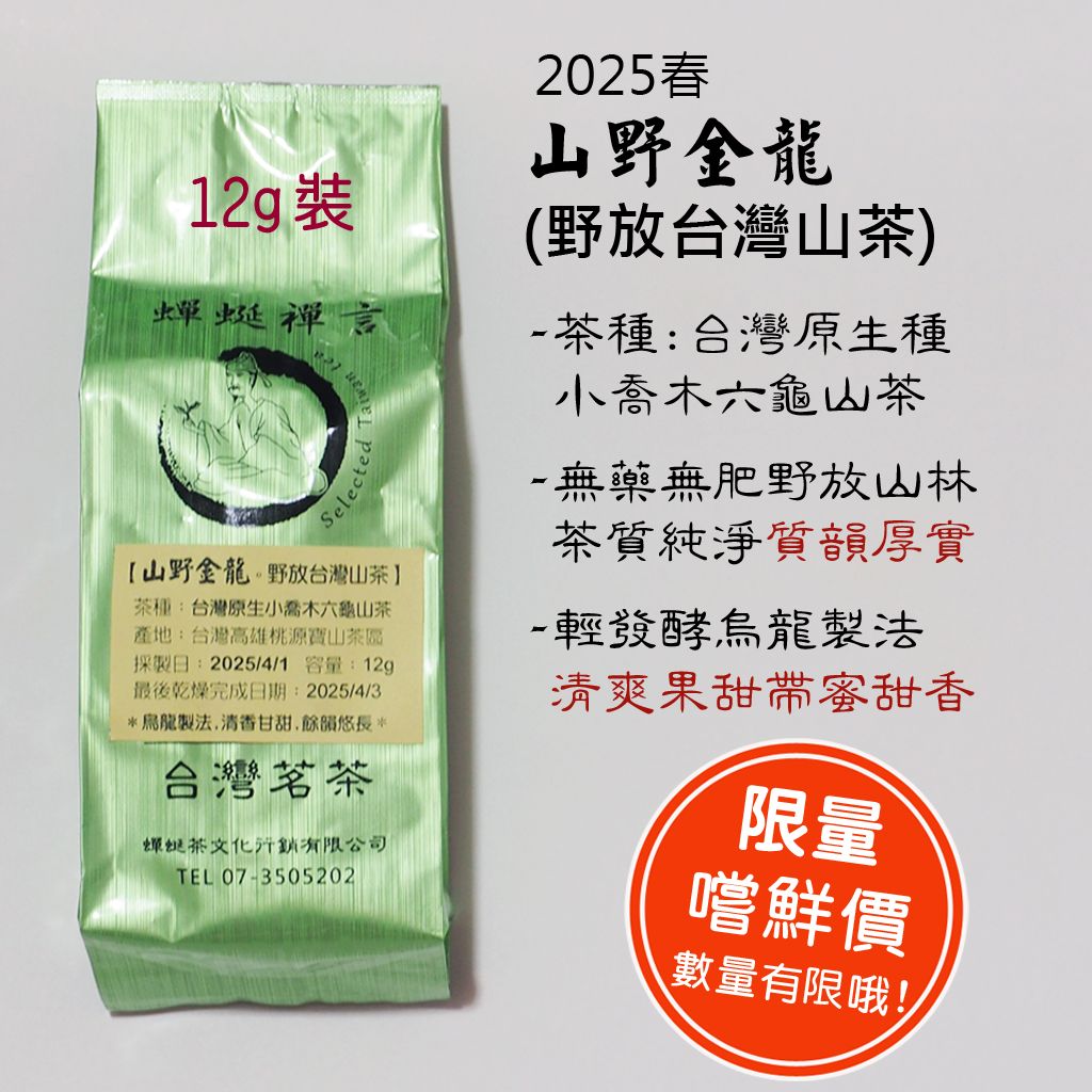山野金龍。2025春野放台灣山茶
