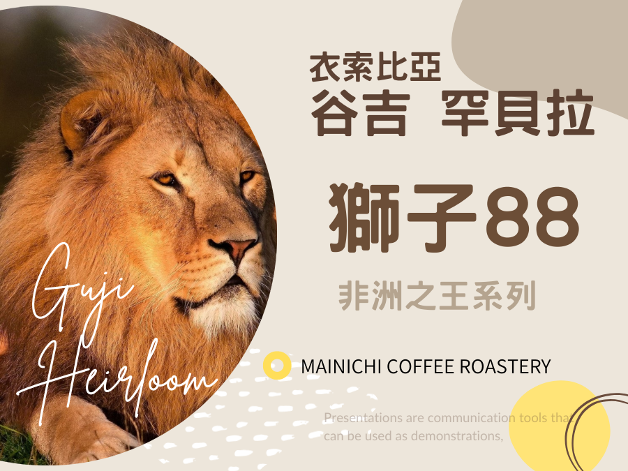 （淺中焙） 谷吉 非洲之王 獅子88