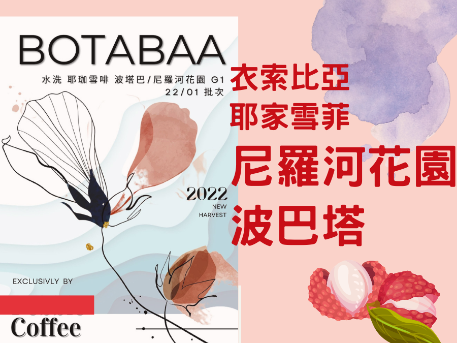 淺中焙 水洗 耶珈雪啡 波塔巴/尼羅河花園 G1