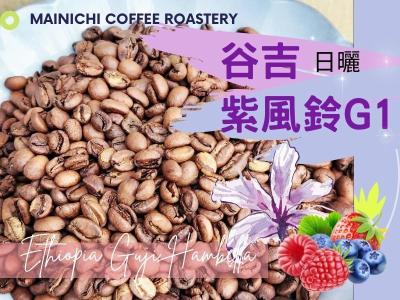 古吉 紫風鈴日曬G1 24/02 批次